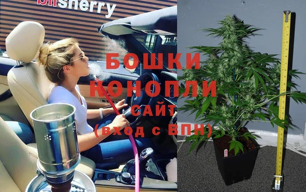 мдпв Касимов