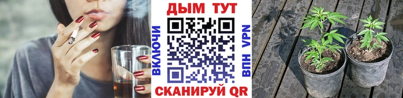 Бошки Шишки LSD WEED  Купить закладки  Калтан 